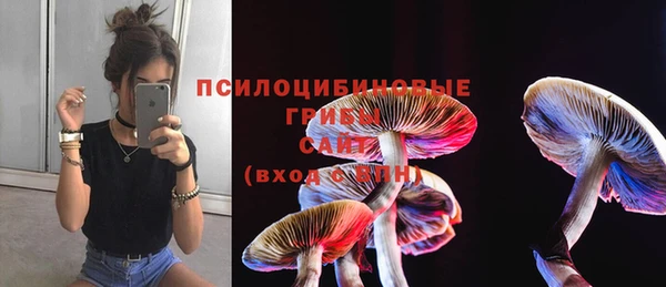 а пвп мука Тайга