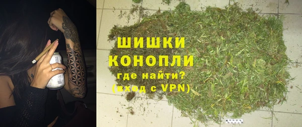 сатива Белоозёрский