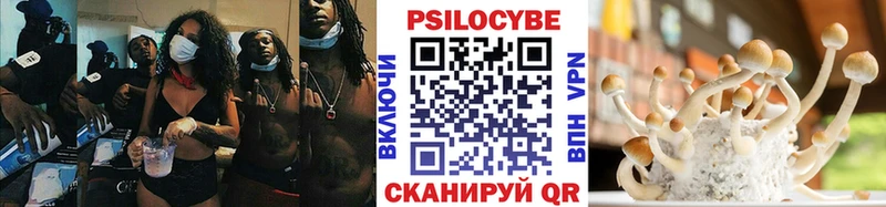 Псилоцибиновые грибы мицелий  купить закладку  Колпашево 