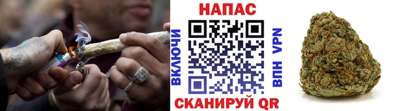 Бошки Шишки Bruce Banner  как найти наркотики  кракен ССЫЛКА  Колпашево 